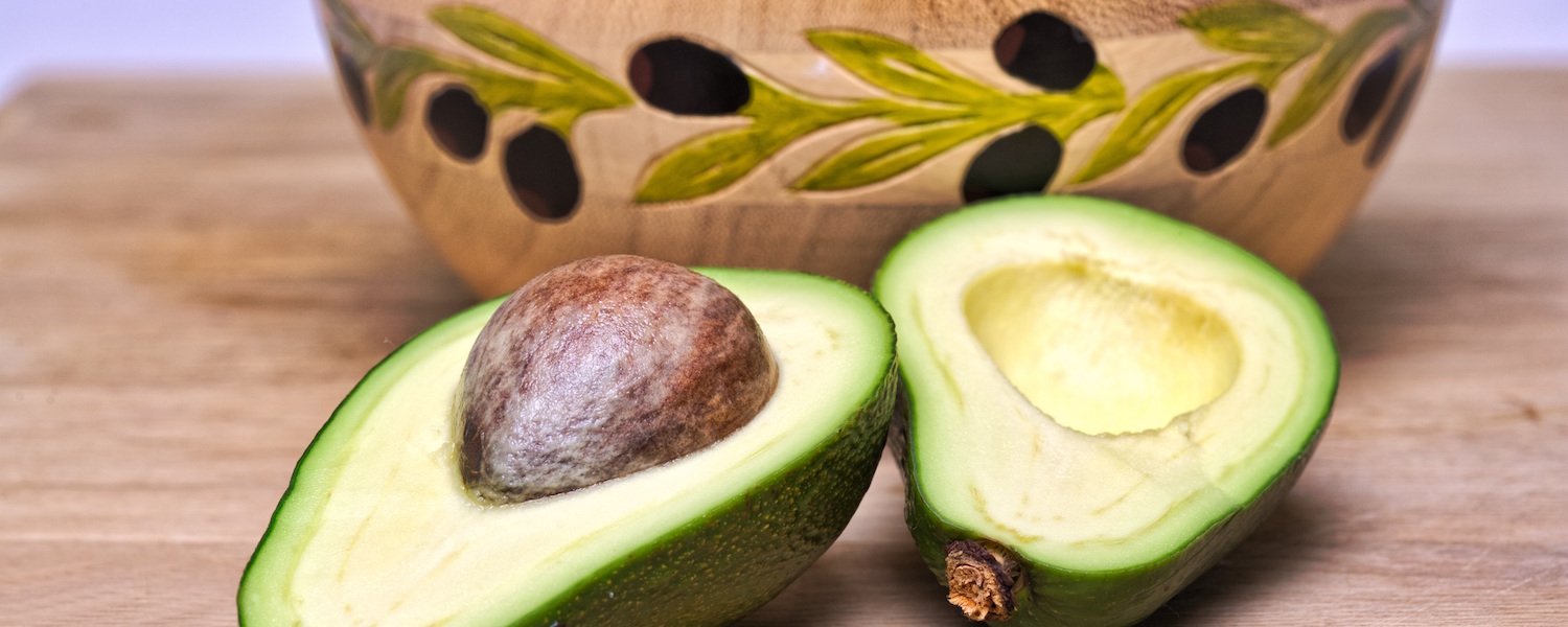Hestia Food and Ingredients-Avocado